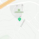 프라임킴 프렌치 불독 이미지