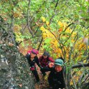 원경펜션 이미지