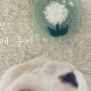 민들레홀씨이야기 이미지
