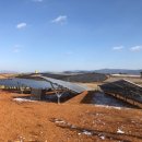 고창2호태양광발전소 이미지