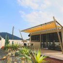 스테이 자이언 이미지