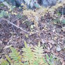 금강어린이공원 이미지