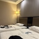 관광열차노래연습장 | [3박 4일]하나투어 대구출발-내몽골직항 패키지여행 후기+쇼핑 추천