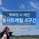동서약국 | 동서트레일 백패킹 3일차 | 4구간, 대중교통 서울복귀
