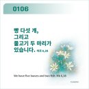 주님과함께 Daum카페