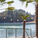 서포풀빌라펜션 이미지