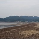 오들길 Daum카페
