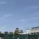 (1코트) 대림테니스장 네이버블로그
