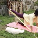 밴드요가2 이미지