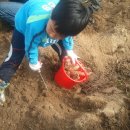 광주지산초등학교 이미지