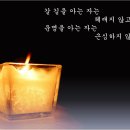 ★사주명리학★ <재능기부강의> 이미지