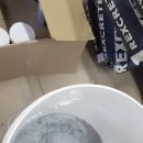 렉스디자인