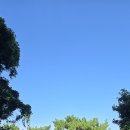 저지오름 | 제주 저지오름┃분화구까지 내려갈 수 있는 특별한 오름 탐방 후기