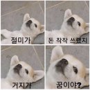 선창초교병설유치원 이미지