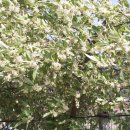 튼튼농장 이미지