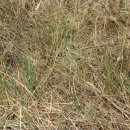 설도주유소 이미지