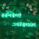 내츄럴 운동 과학 연구소 네이버블로그