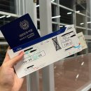 7145 | 인천 🔁 보홀 왕복 에어부산✈️ 탑승 찐 후기 (BX7135, BX7145)