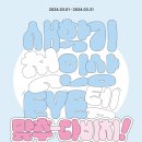 다비치안경 세종아름점 이미지