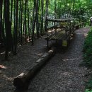 모소(MOSO) Daum카페