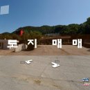 중부제3주유소 이미지