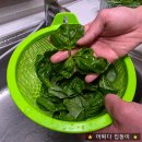 마트 바질과는 다르다?! 향좋은 허브 Fresh-G 생바질 300g 생바질샐러드 해먹은 리얼 후기