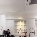 제제언니 | 제제렌탈스튜디어 후기