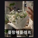 플랑떼플레르