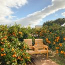 제주소소민박 이미지