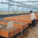 농업농장 이미지