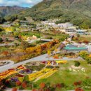 보현산권역정각마을 | 경북 AI 여행 코스! 4대 테마 공개? 실패 없는 힐링을 위한 인공지능의 선택