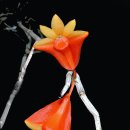 그래도 꽃 이미지