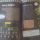 크레아타 이미지
