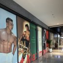 제이엠 휘트니스 | 상현역 PT 제이엠피트니스 시설/주차/운동복/기구/피티상담 자세한 후기