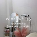 여며들다 116
