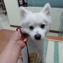 서서울동물병원 이미지