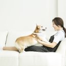 국립생태원동물병원 이미지