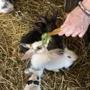 승재목장 이미지