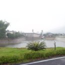 용안 농장 이미지