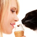 분평동물병원 이미지