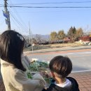 화양초등학교 | [청도여행코스] 경상북도 청도읍성 나들이 (동문.서문) 청도 주차팁
