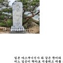 버리미기재 대야산 조항산 청화산 늘재 백두대간 이미지