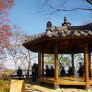 가야사거리 북측-2(공원내 남측) | 나도 지겨운 범블 미국인과 남산 데이트 완결편, 애프터는..?