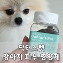 만피몰 | 닥터스펫 강아지 피부 영양제, 마로 피부와 피모를 위해 챙겨본 후기
