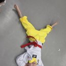 한울림 태권도장 네이버블로그