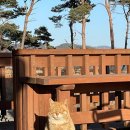 희나 | 1 태안 프라이빗비치 보유 펜션 여행(에어비앤비 '희나펜션'/바베큐파티/불멍/힐링/가족모임여행으로...