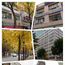 벨치과의원 이미지