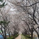 산양2리 | [경상북도 여행지 / 문경 맛집 데이트 추천코스] 양조장을 개조해 만든 문경 산양면 이색카페 산양정행소