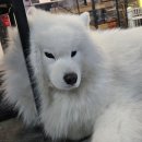 성심당의원한의원 | 임신확인서 발급 후 본격 임신혜택신청 시작!