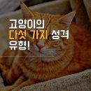 (주)펫찐